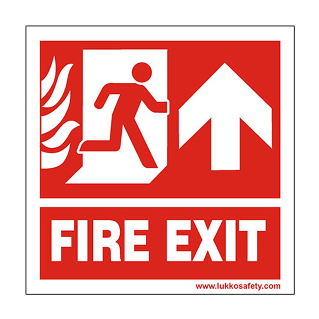 LS-EFS05 LS - EFS05 - Image 1